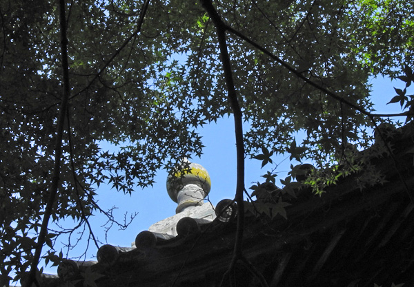 深緑の白峯寺