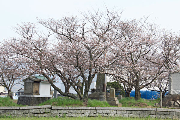 坂出の古戦場跡　通称三十六さん