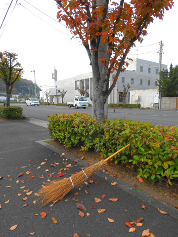 朝刊を取りに来て街路樹の落葉一ｹ所に集まりて・・