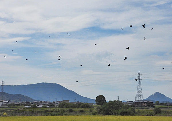 秋の青空